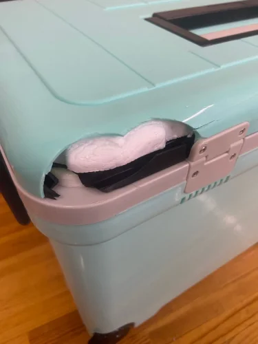 Термобокс SHINWA Holiday Land Cooler 33H синий (уценка)  brand: SHINWA