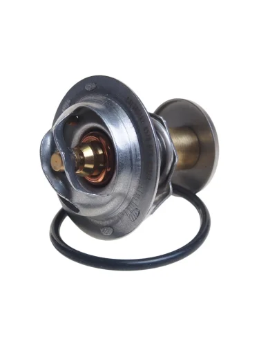 Термостат FORD Mondeo (-07) VERNET