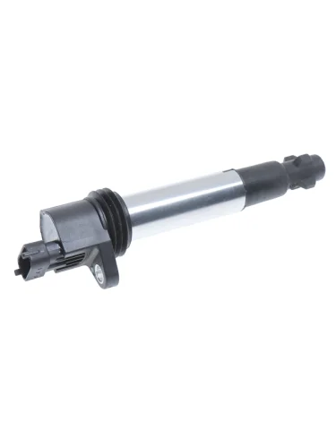 Катушка зажигания 1118 2170 1.6 16V CARGEN