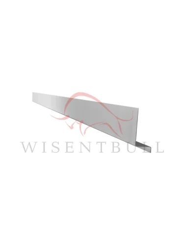 внутренние пороги холоднокатаная сталь Ford Expedition III 