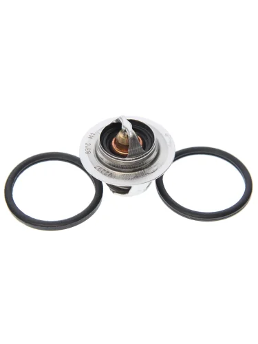 Термостат RENAULT Kangoo (97-09) Logan (07-) Scenic (03-09) GATES