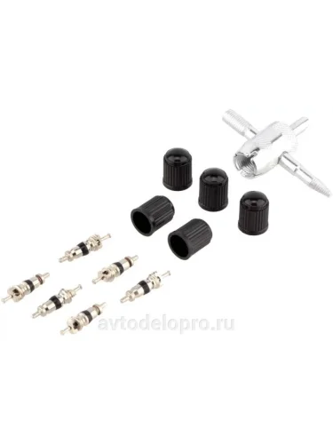 Золотник ГАЗ,ЗИЛ, колпачок, ключ (11шт.) (короткий) BERIL
