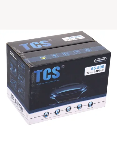 Аккумулятор TCS 100Ач
