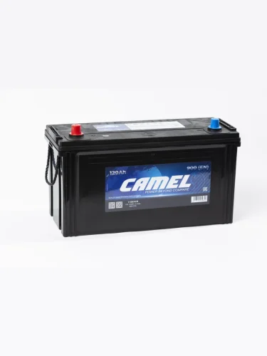 Аккумулятор CAMEL Asia 120Ач
