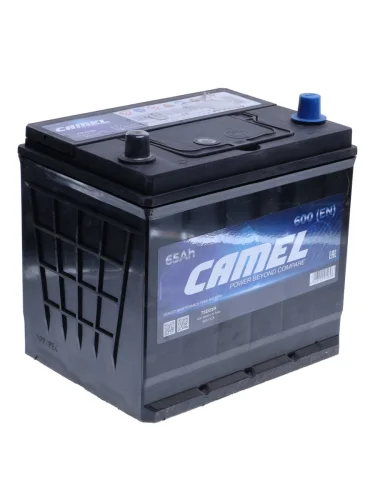 Аккумулятор CAMEL Asia 65Ач
