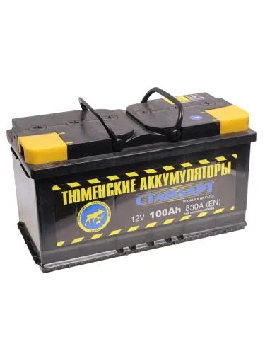 Аккумулятор TYUMEN BATTERY STANDART 100Ач